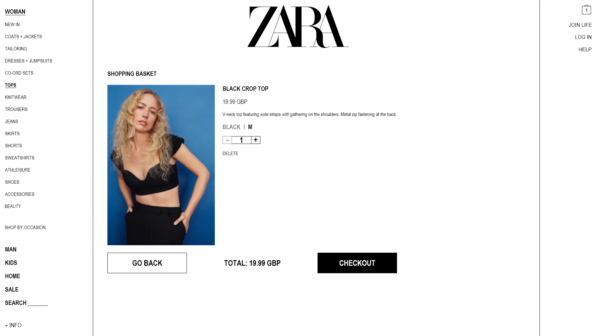 Zara Shopping Basket Open